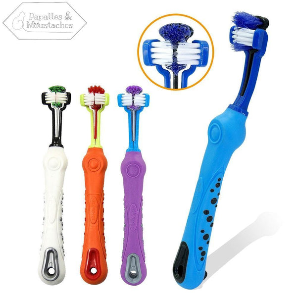 Brosse à dent pour chien - Papattes & Moustaches