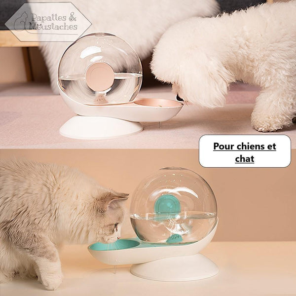 Distributeur à eau pour chien et chat - Papattes & Moustaches