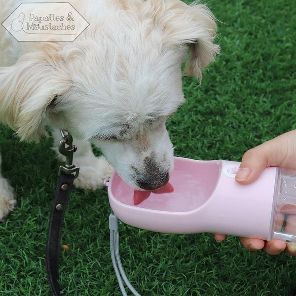 Gourde 2 en 1 pour chien - Papattes & Moustaches