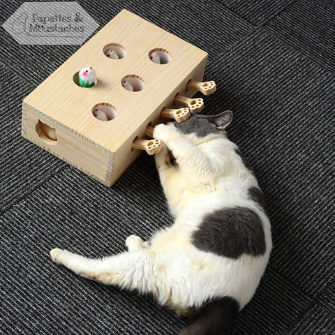 Jeu "tape taupe" en bois pour chat - 5 leviers - Papattes & Moustaches