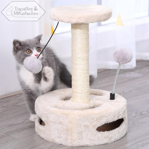 Jouet griffoir chaton - Papattes & Moustaches