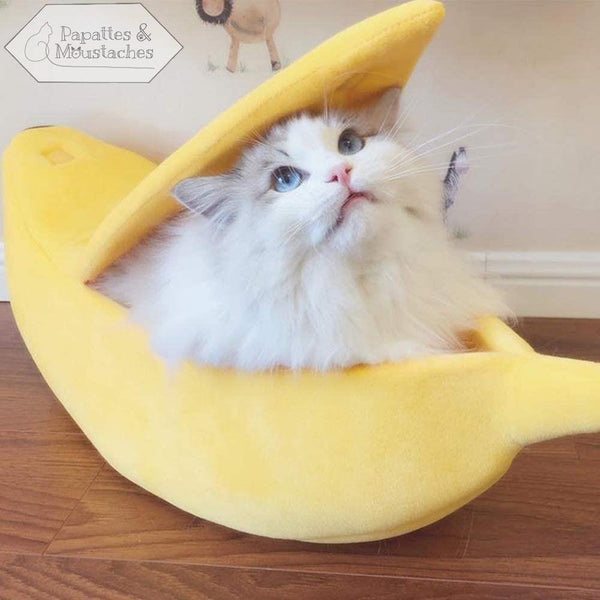 Lit banane pour chat - Papattes & Moustaches