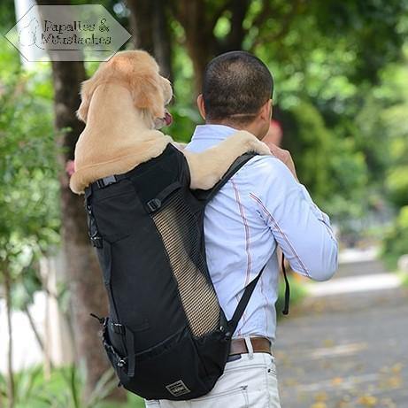 Sac à dos de transport pour chien - Papattes & Moustaches