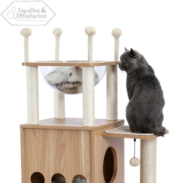 Arbre à chat bois design