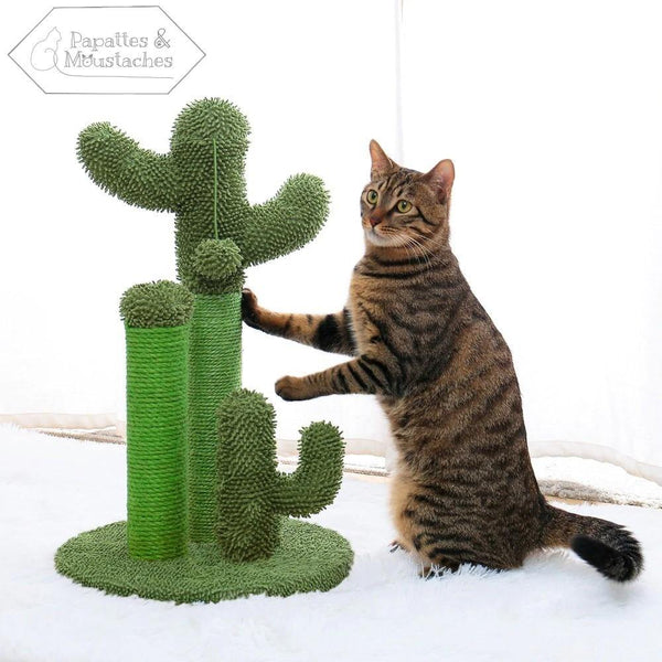 Griffoir pour chat cactus - Papattes & Moustaches