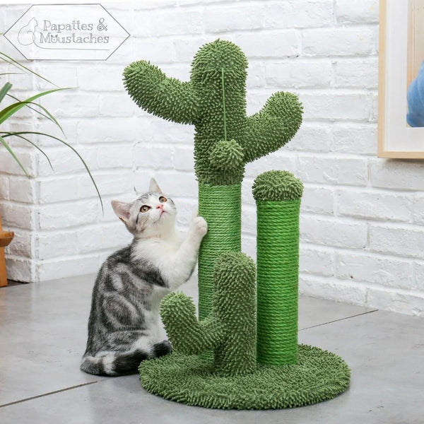 Griffoir pour chat cactus - Papattes & Moustaches