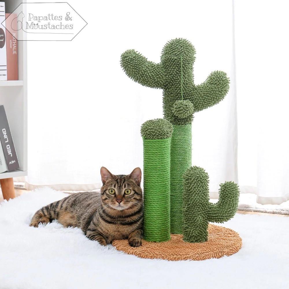 Griffoir pour chat cactus - Papattes & Moustaches