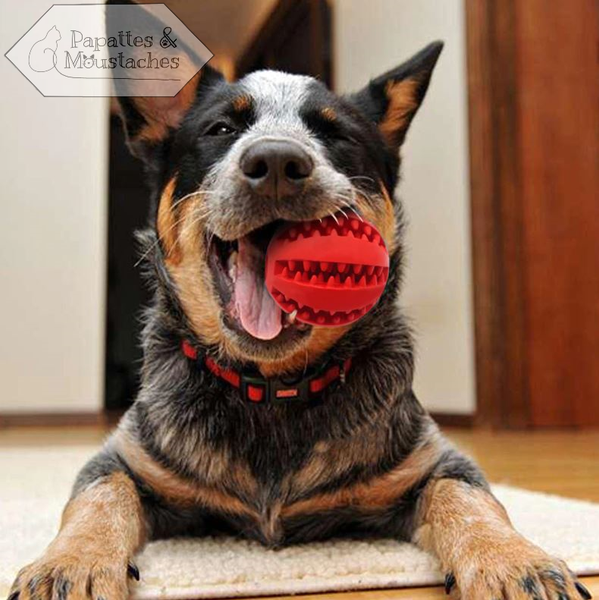 Balles pour chien - Papattes & Moustaches