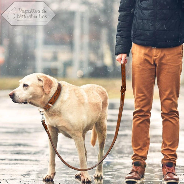 Collier et laisse en cuir pour chien motif "Montagne" - Papattes & Moustaches