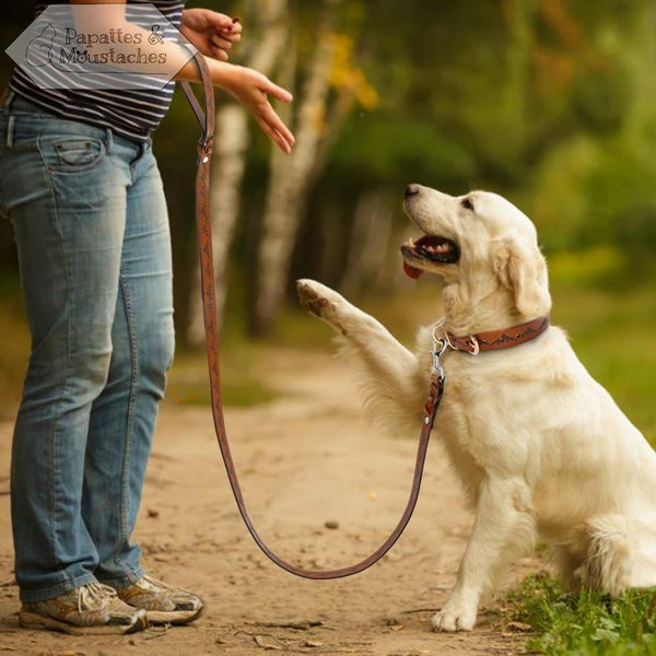 Collier et laisse en cuir pour chien motif "Montagne" - Papattes & Moustaches