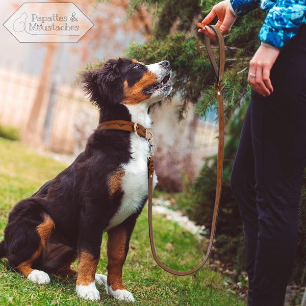 Collier et laisse en cuir pour chien motif "Montagne" - Papattes & Moustaches