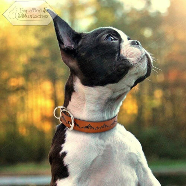 Collier et laisse en cuir pour chien motif "Montagne" - Papattes & Moustaches