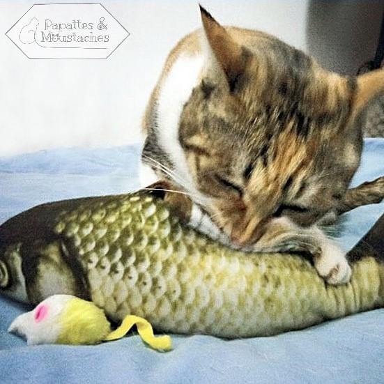 Jouet poisson pour chat - Papattes & Moustaches