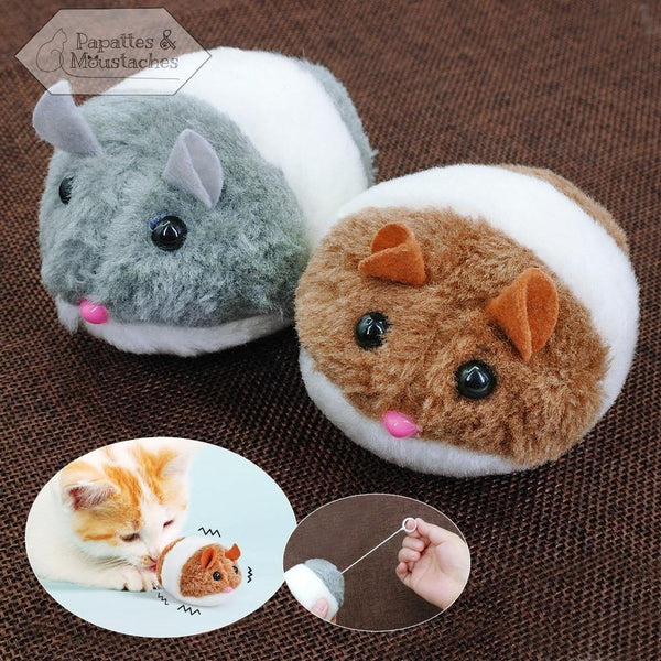 Jouet pour chat souris peluche - Papattes & Moustaches