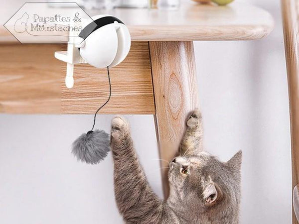 Jouet électronique pour chat - Papattes & Moustaches