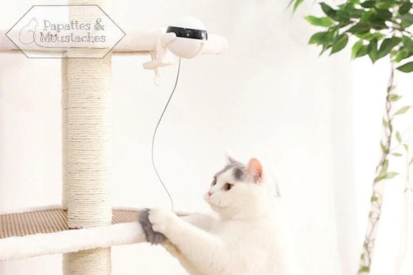 Jouet électronique pour chat - Papattes & Moustaches