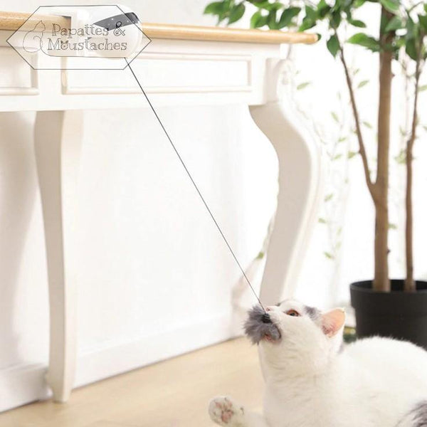 Jouet électronique pour chat - Papattes & Moustaches