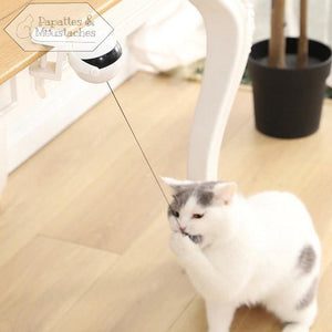 Jouet électronique pour chat - Papattes & Moustaches