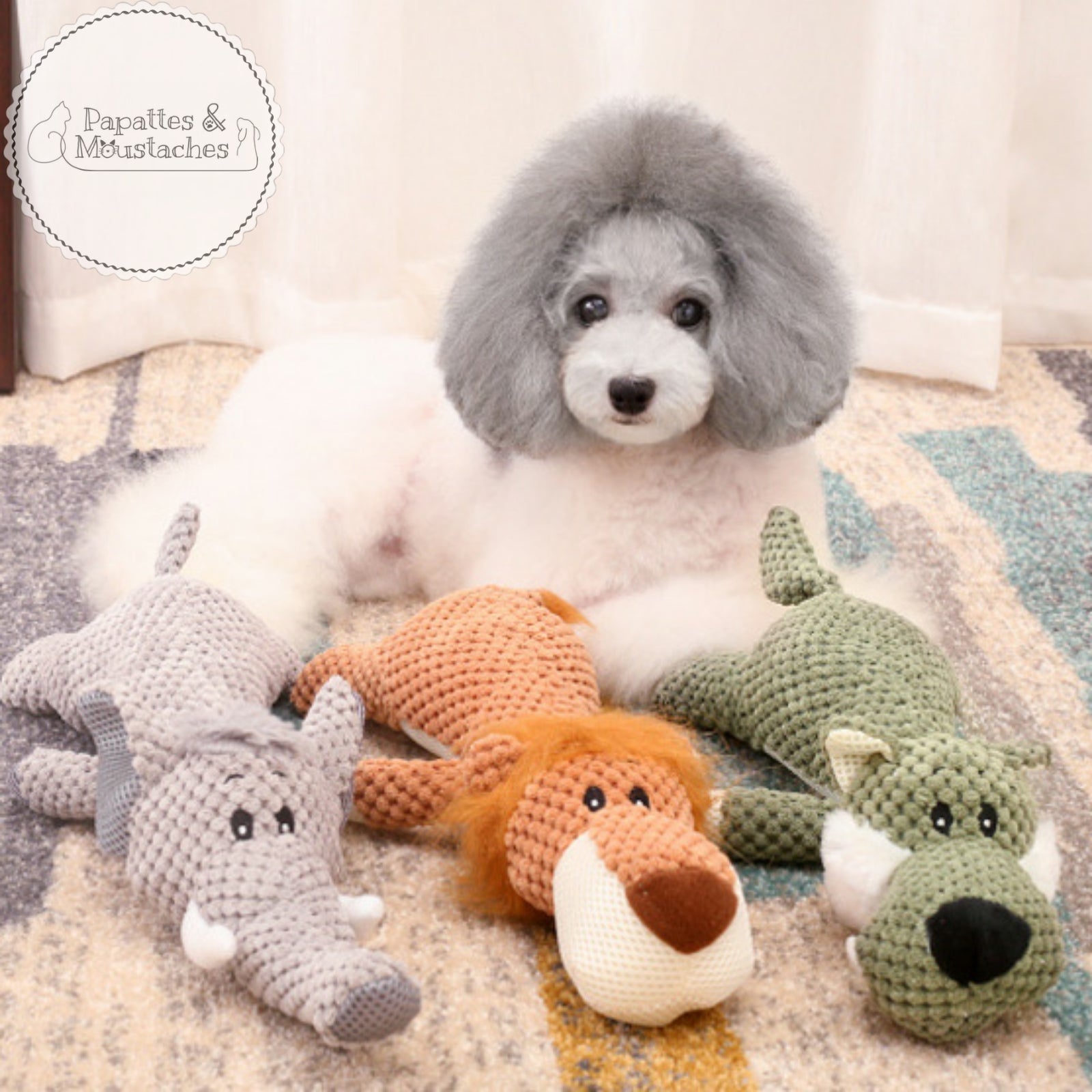 Jouet peluche pour chien