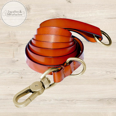 Laisse en cuir pour chien