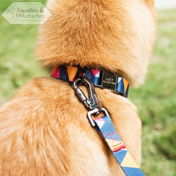 Collier et laisse pour chien en nylon personnalisable - Papattes & Moustaches