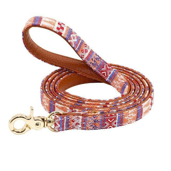 Laisse en cuir pour chien motifs colorés - Papattes & Moustaches